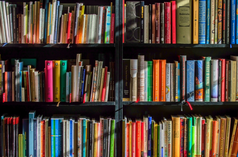 magasin-CUERS-min_books_bookstore_book_reading_shop_writer_sale_books_read-822866